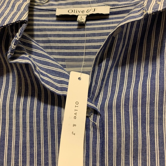 Blue and White Striped Blouse - Picture 2 of 3